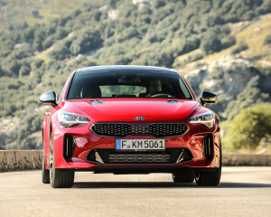 Kia Stinger Red Dynamic  (23)